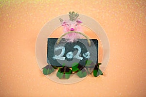 Lucky pig on pink background with shamrocks;2020 photo