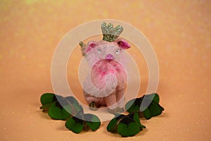 Lucky pig on pink background with shamrocks;2020 photo