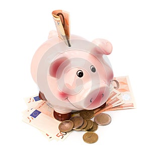 Lucky piggy bank isolated on white background
