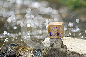 Lucky on wooden block in the river