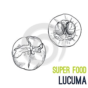 Lucuma, Super food hand drawn sketch vector