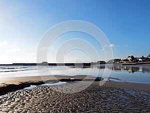 Lucys Ledge at Lyme Regis January 2024