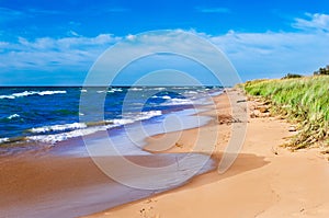 Ludington Beach Trail, Ludington State Park