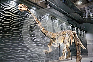 Lufengosaurus Magnus