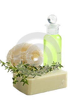 Luff sponge, thyme soap, shampoo, isolated