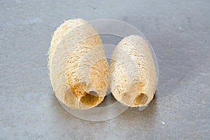 Luffa