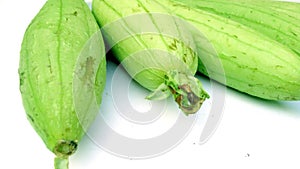 Luffa cylindrica sponge gourd fruits snap stock