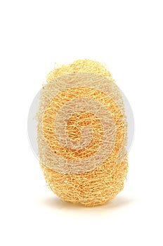 Luffa sponge natural fiber for body scrubbing