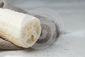 Luffa sponge for zero waste washing or bath