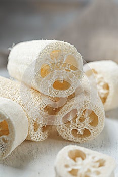 Luffa sponge for zero waste washing or bath