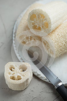 Luffa sponge for zero waste washing or bath