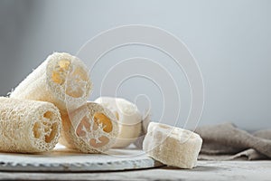 Luffa sponge for zero waste washing or bath