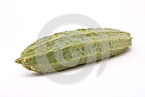 Luffa Squash
