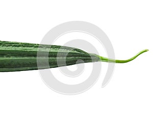 Luffa squash