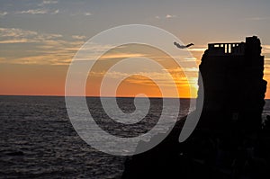 Diver in flight before falling into the sea photo