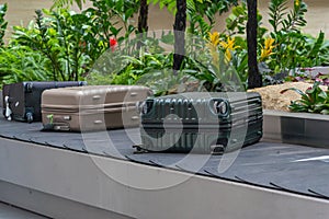 Luggage or suitcase on conveyor belt in beautiful Changi airport