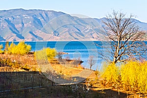 Lugu Lake bank