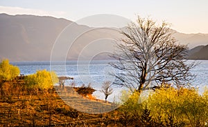 Lugu Lake bank