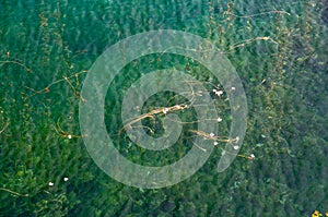 Beautiful lake scenery Lugu Lake China photo