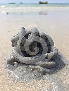 Lugworm is excreted into the pile of sand.