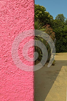 Luis Barragan`s Cuadra San Cristobal pink wall, endemic vegetation and sandy ground in the background photo