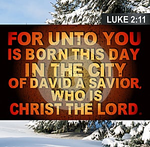 Christmas Luke 2:11 photo