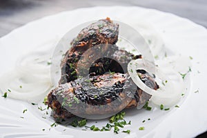 Lula kebab with onion and spices