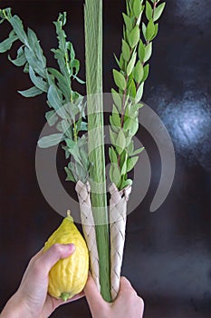 Lulav