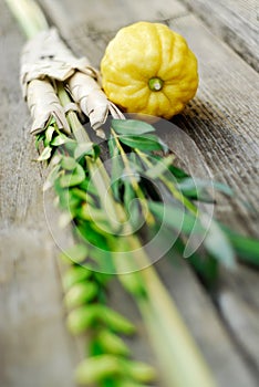 Lulav and Etrog