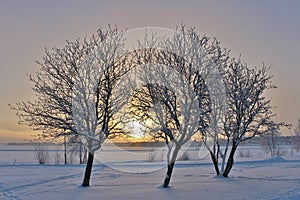 Lule River in winter sun