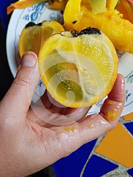 Lulo fruit half held in hand