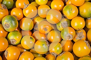Lulo tropical fruit - Solanum quitoense