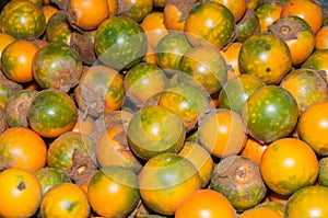 Lulo tropical fruit - Solanum quitoense