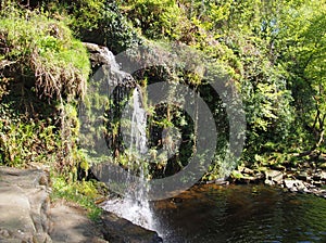 Lumb hole falls waterfall in woodland at crimsworth dean near pecket well in calderdale west yorkshire