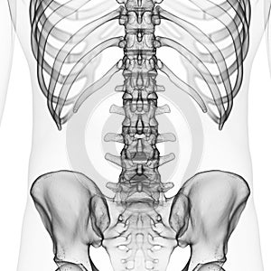 Lombare colonna vertebrale 