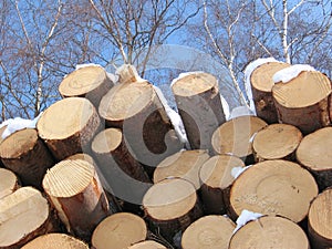 The lumber business