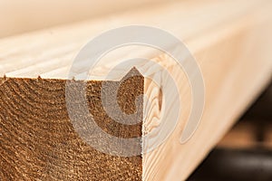 lumber industrial wood texture, timber butts background