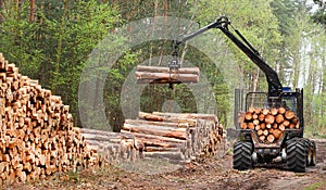 Lumber industry.