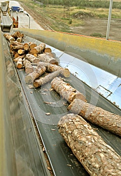 Lumber industry