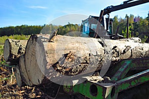 Lumber Industry machine with pile of wood.