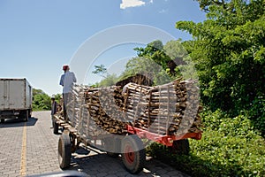 Lumber loaded on trailer