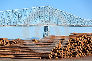 Lumber Mill in Rainier Oregon