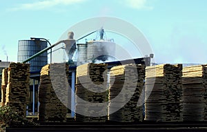 Lumber Mill and Stacked Boards