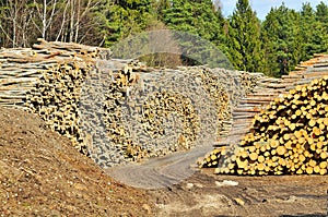 Lumber Pile