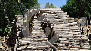 Lumber process mill works