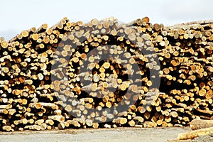 Lumber Processing 2