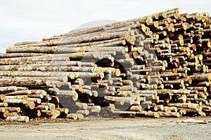 Lumber Processing 3