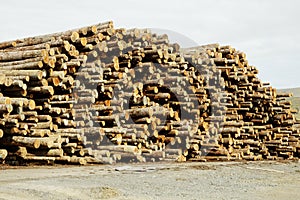 Lumber Processing 4