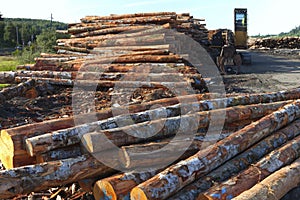 Lumber ready for export, Coos Bay Oregon.