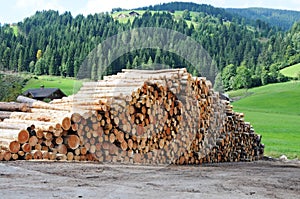 Lumber wood